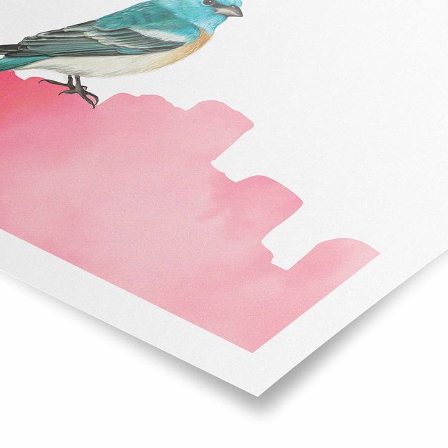 Quadros decorativos Bird On Pink Backdrop
