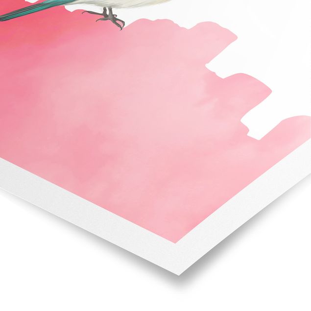 Quadros decorativos Bird On Pink Backdrop