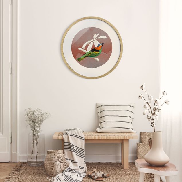 quadros modernos para quarto de casal Bird Collage In A Circle ll