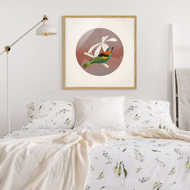 quadros modernos para quarto de casal Bird Collage In A Circle ll