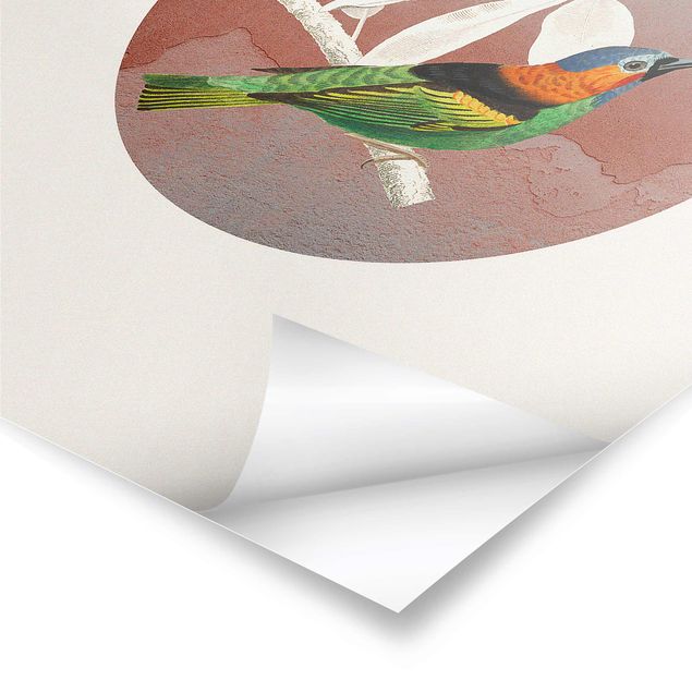 Posters Bird Collage In A Circle ll