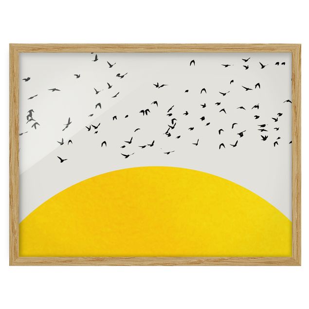 Quadros com moldura animais Flock Of Birds In Front Of Yellow Sun