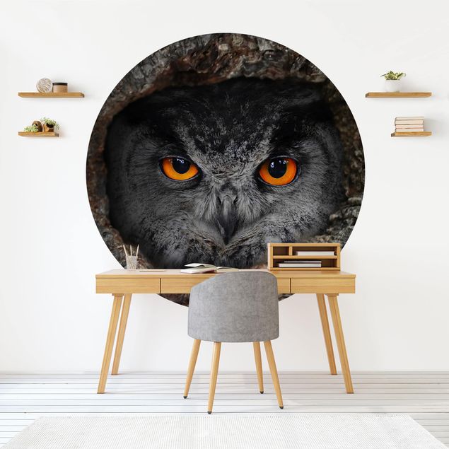 decoraçoes cozinha Watching Owl