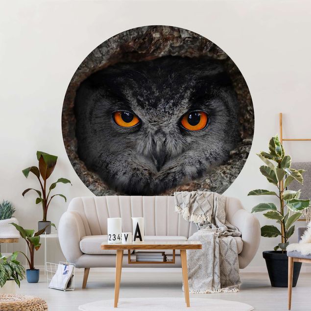 Papel de parede com pássaros Watching Owl