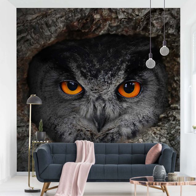 decoraçao cozinha Watching Owl