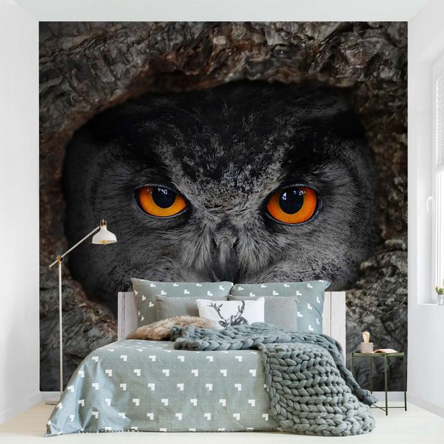 Papel de parede pássaros Watching Owl