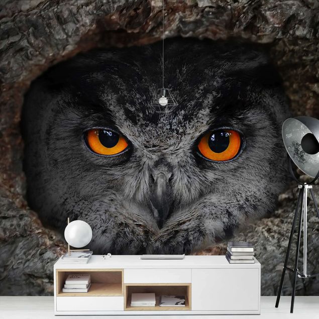 papéis de parede de animais Watching Owl