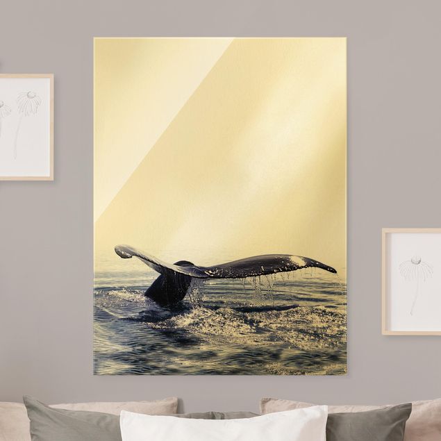 Quadros em vidro animais Whale Song On Iceland