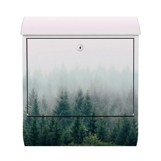 caixa correio verde Foggy Forest Twilight