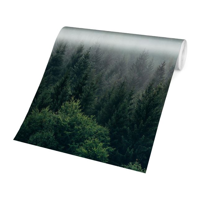 Papel de parede verde Foggy Forest Twilight