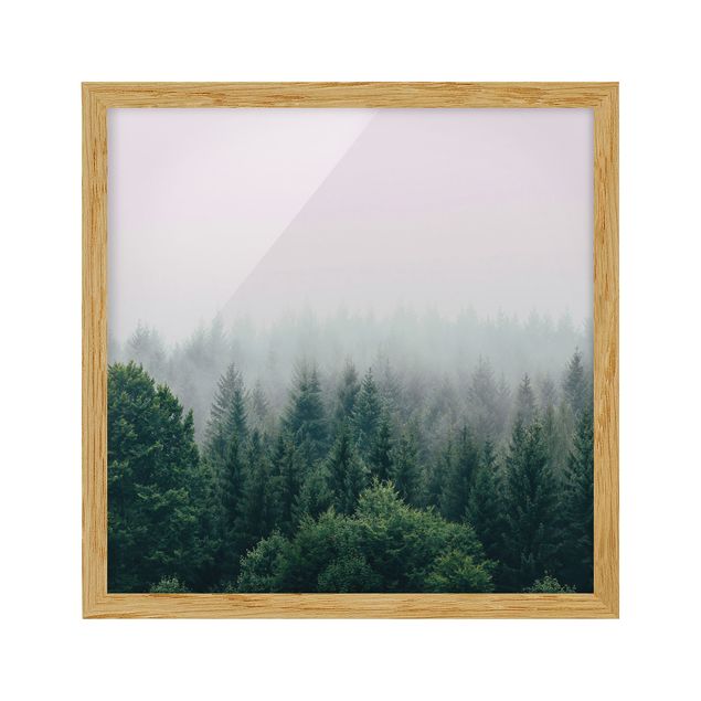 Quadros com moldura paisagens Foggy Forest Twilight