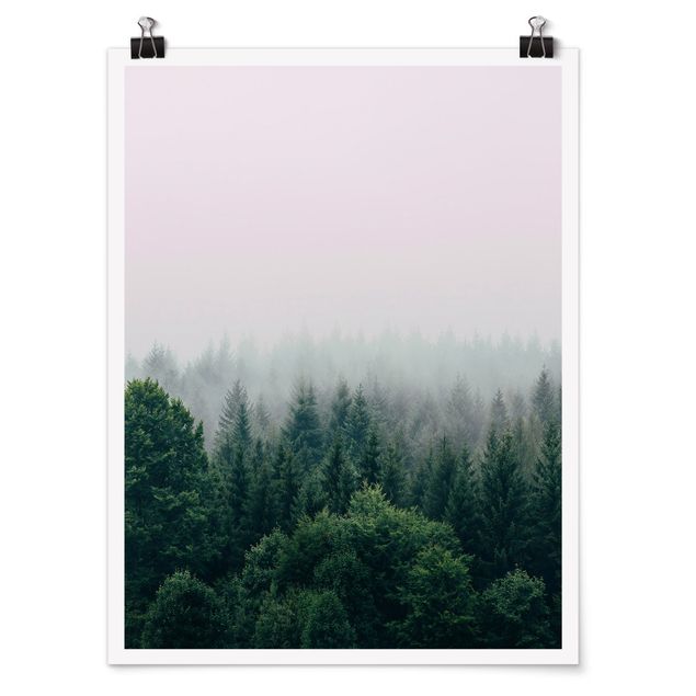 Posters paisagens Foggy Forest Twilight