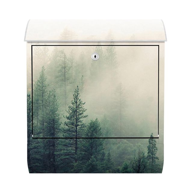 caixa correio verde Foggy Forest Awakening