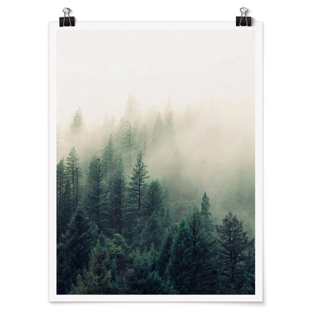 Posters paisagens Foggy Forest Awakening