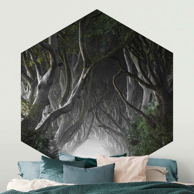 papel de paredes 3d Forest In Northern Ireland