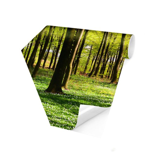 papel parede cinza Forest Meadow