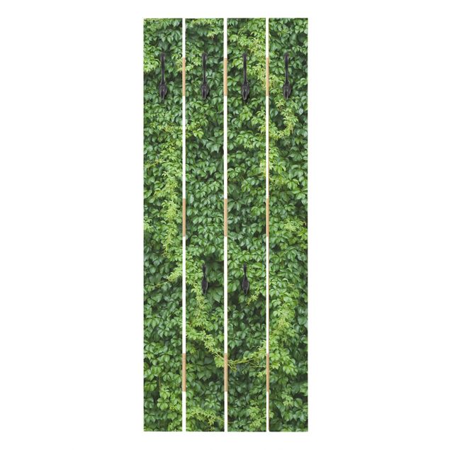 Cabides de parede em verde Ivy