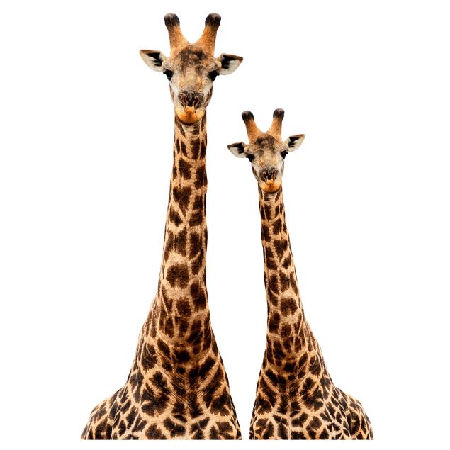 Autocolantes de parede Portrait of two giraffes