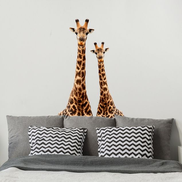 adesivos de parede Portrait of two giraffes