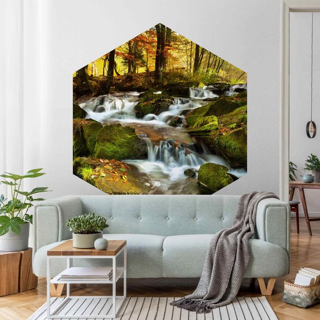papel de parede floresta tropical Waterfall Forest In The Fall