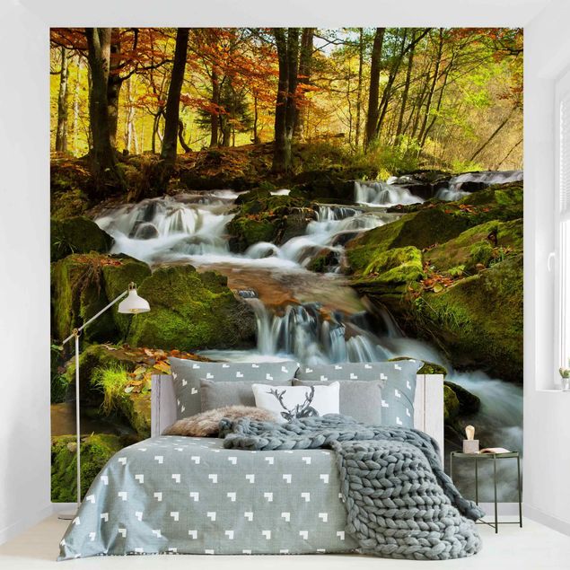 decoraçao cozinha Waterfall Autumnal Forest