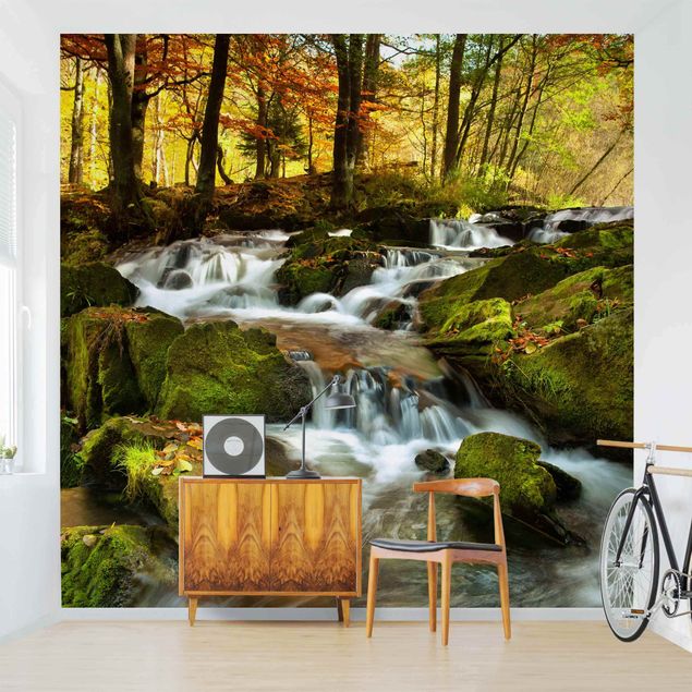 Papel de parede cascatas Waterfall Autumnal Forest