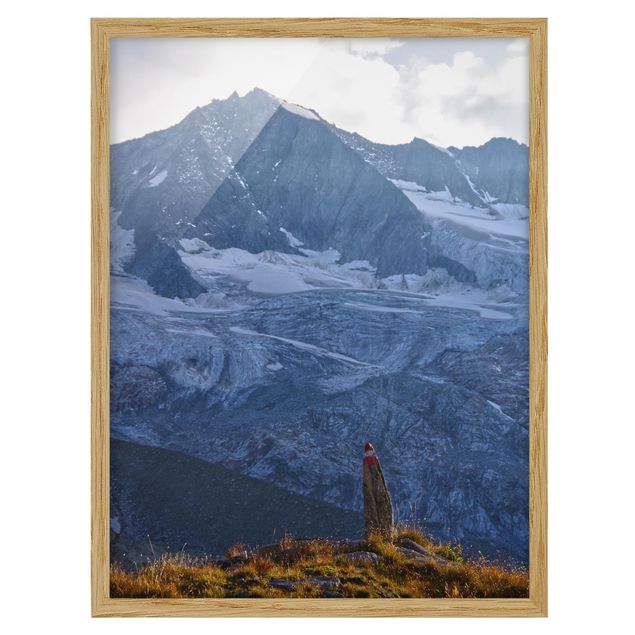 Quadros com moldura paisagens Marked Path In The Alps