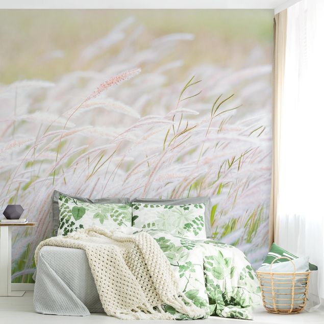 papel de parede para quarto de casal moderno Soft Grasses