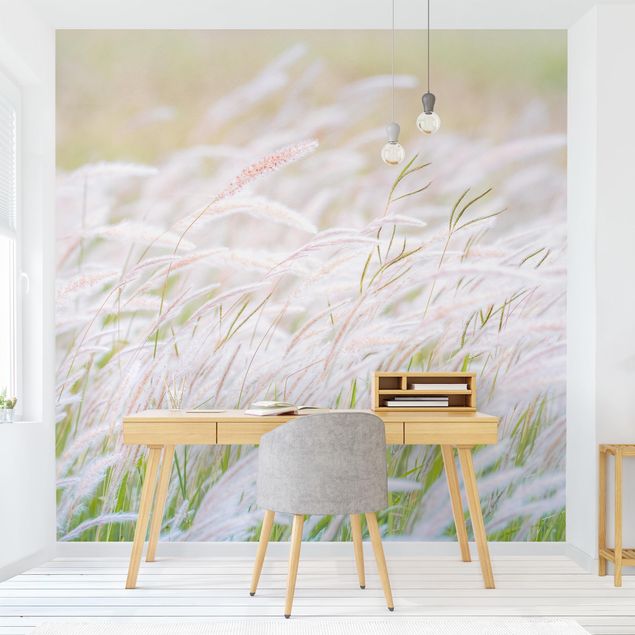 Papel de parede estilo rústico Soft Grasses