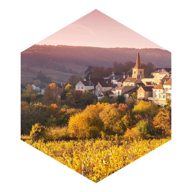 Papel de parede hexagonal Vineyards In France