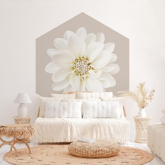 Papel de parede com flores White Dahlia On Cream