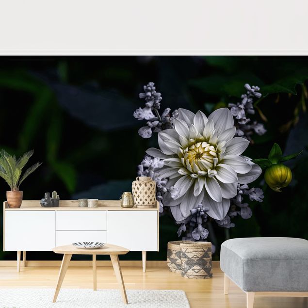 papel parede de flor White Dahlia