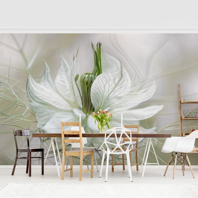 Papel de parede com flores White Nigella