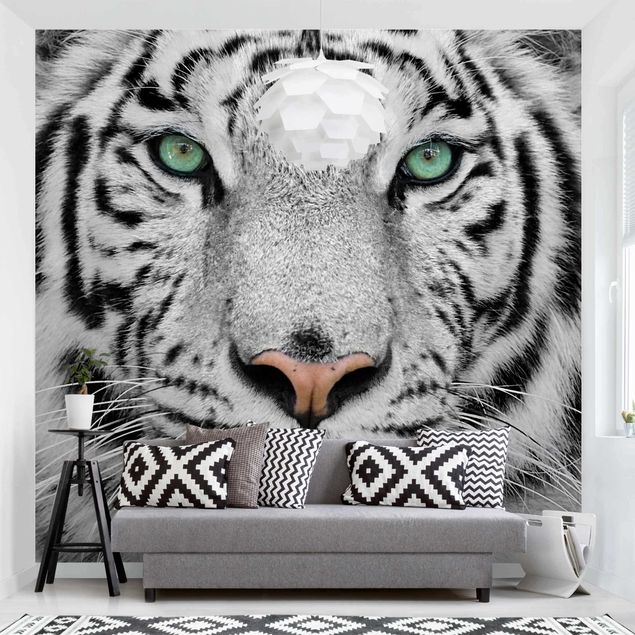 decoraçao para parede de cozinha White Tiger