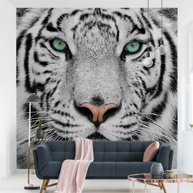 Papel de parede tigres White Tiger