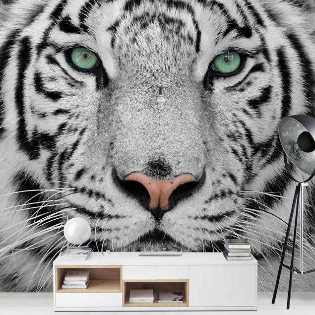 papel de parede para quarto de casal moderno White Tiger
