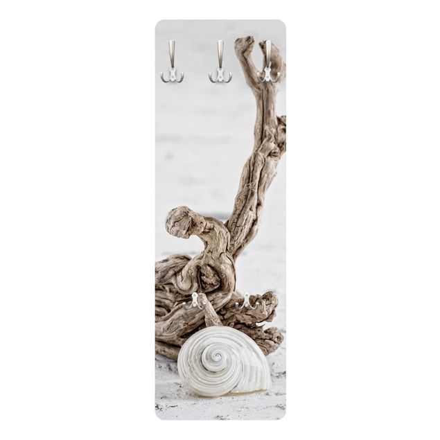 Cabides de parede em bege White Snail Shell And Root Wood