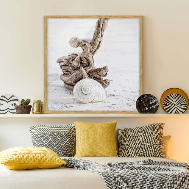 quadro com paisagens White Snail Shell And Root Wood