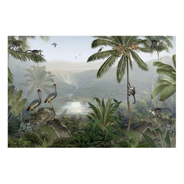 quadro com paisagens Weitblick in die Tiefen des Dschungels