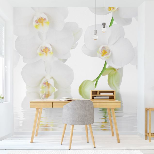 papel de parede moderno Spa Orchid - White Orchid