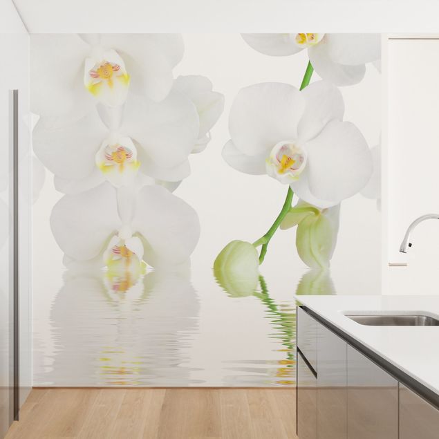 Papel de parede com flores Spa Orchid - White Orchid