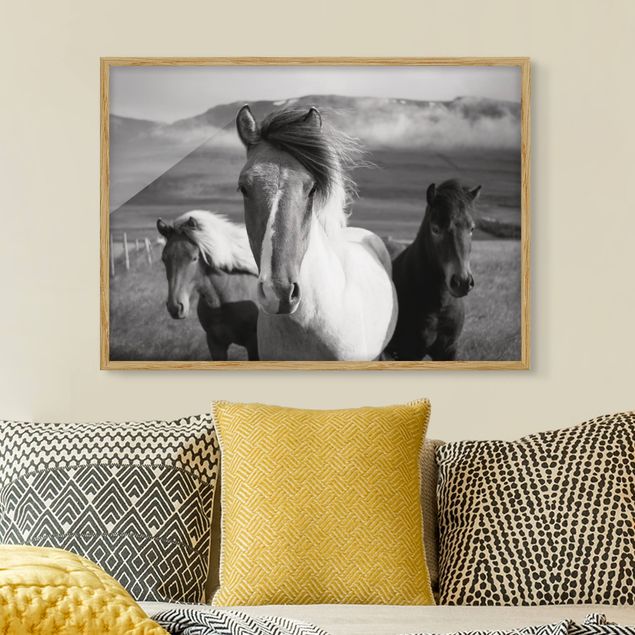 decoraçao para parede de cozinha Wild Horses Black And White
