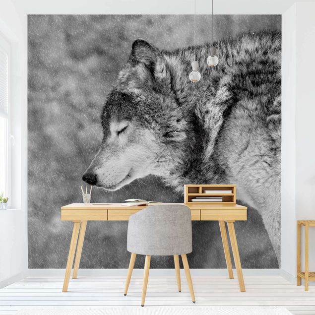 decoraçao para parede de cozinha Winter Wolf