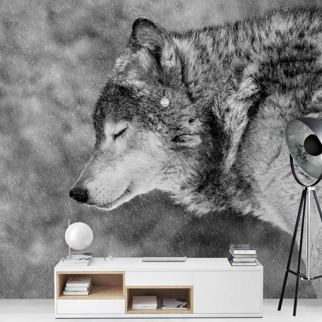 Papel de parede preto e branco Winter Wolf