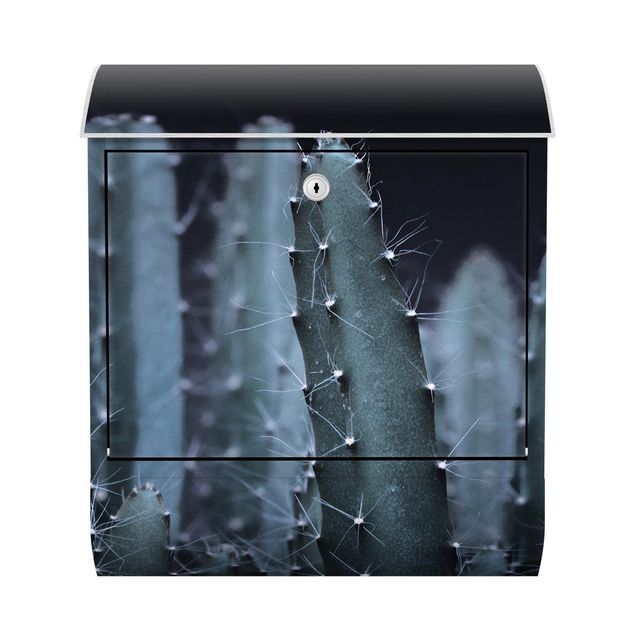 Caixas de correio em preto Desert Cactus At Night