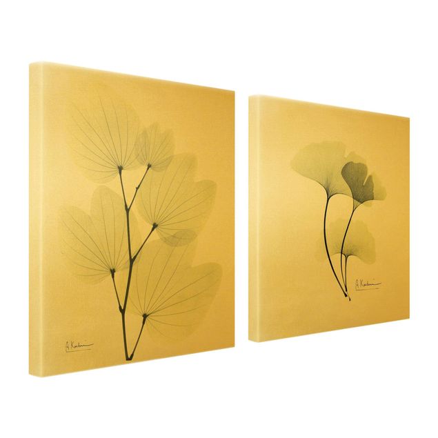 quadros decorativos verde X-Ray - Orchid Tree Leaves & Ginkgo