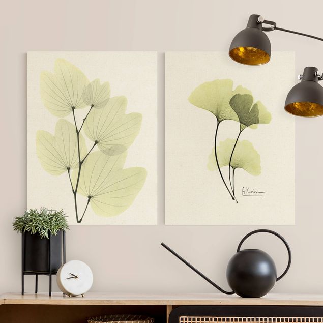 Quadros florais X-Ray - Orchid Tree Leaves & Ginkgo