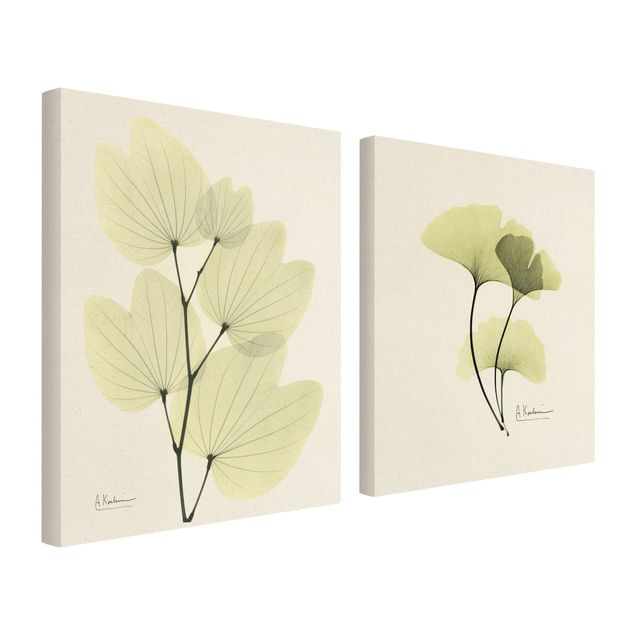 quadros decorativos verde X-Ray - Orchid Tree Leaves & Ginkgo