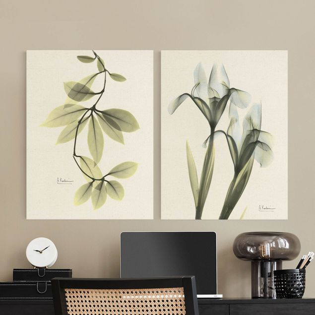 Quadros verdes X-Ray - Hoya Leaves & Iris