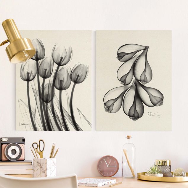 Telas decorativas em preto e branco X-Ray - Tulips & Fig Shells